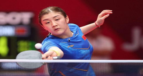 将票投给他 将票投给他