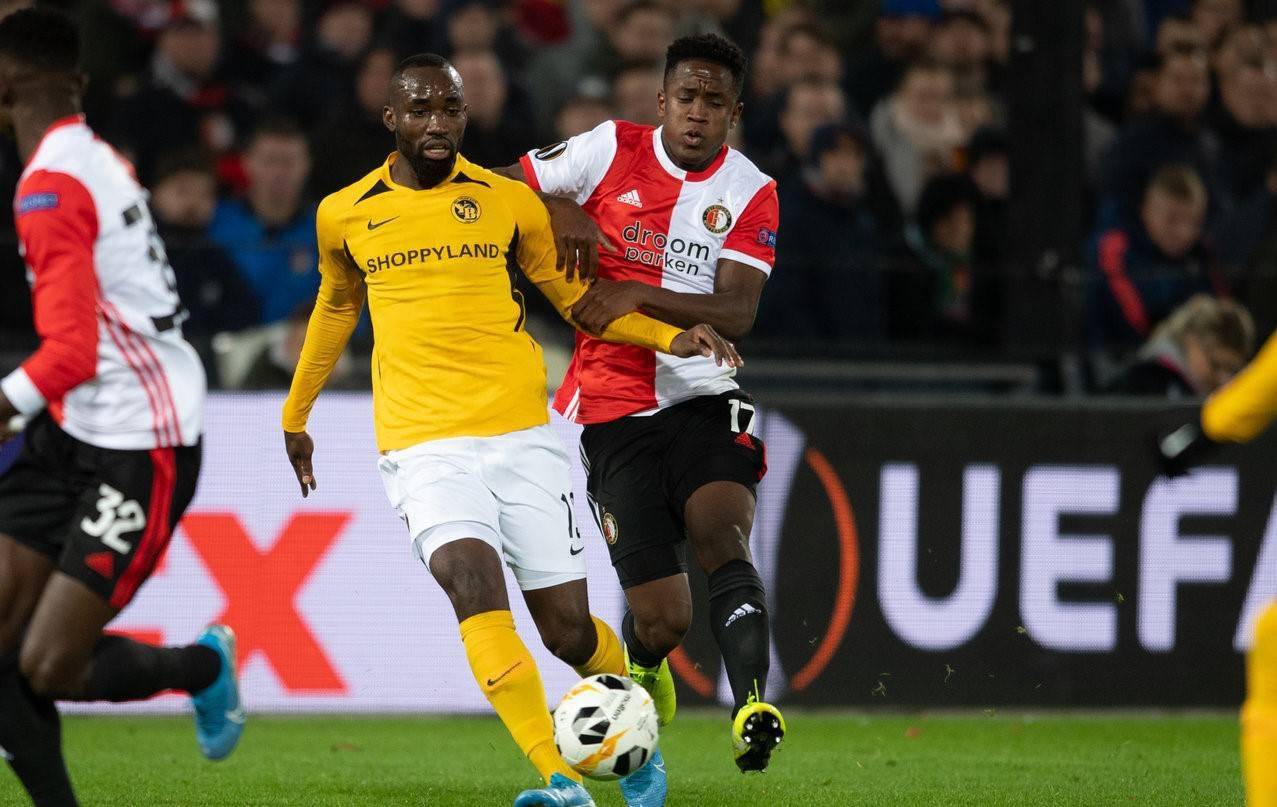 迷发出了刺 迷发出了刺